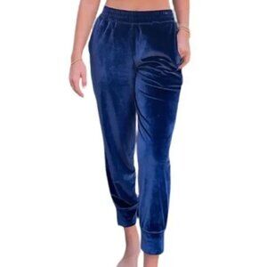 Fabletics Daria Luxe Velour Jogger in Deep Navy size Large